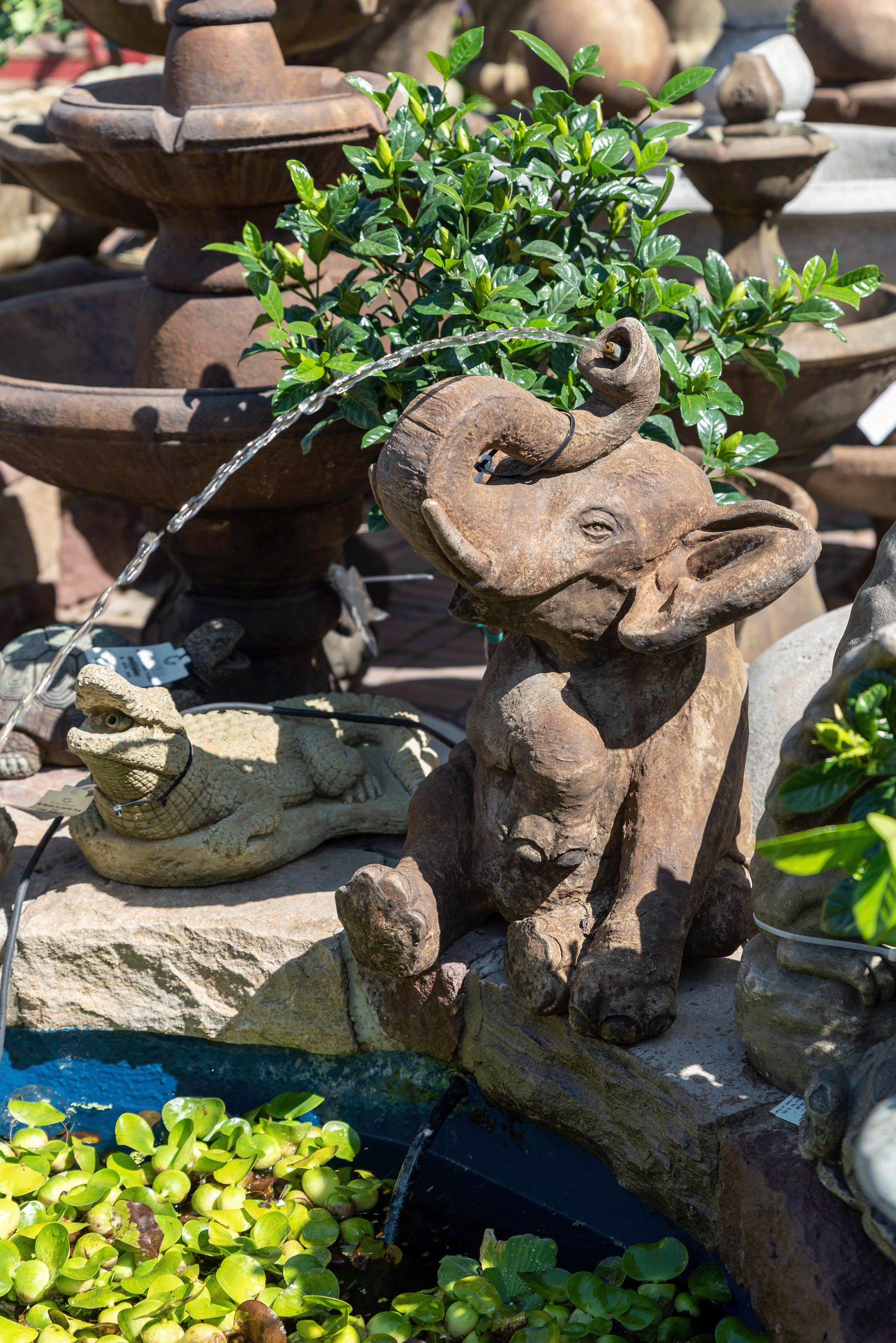 stoneelephantpondspitter Gasper Landscape Design & Construction