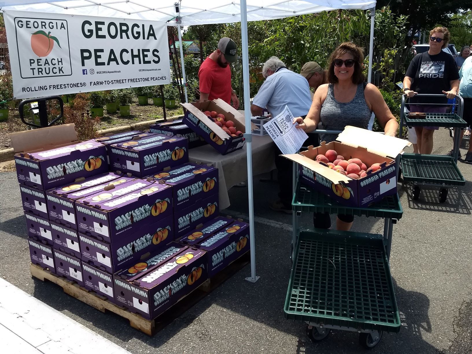 Gasper Landscape Design & Construction