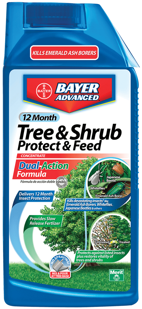 bayer tree and shrub care