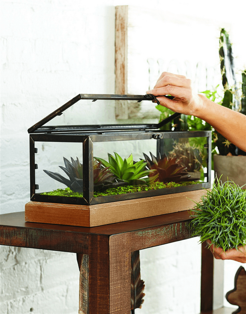 Creating A Terrarium Gasper Landscape Design & Construction